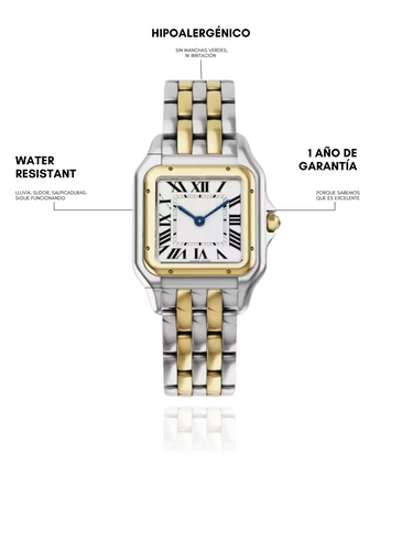 isobel watch - two tone