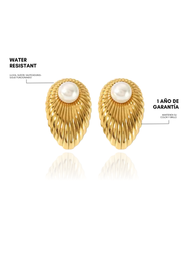 Shell earrings - gold